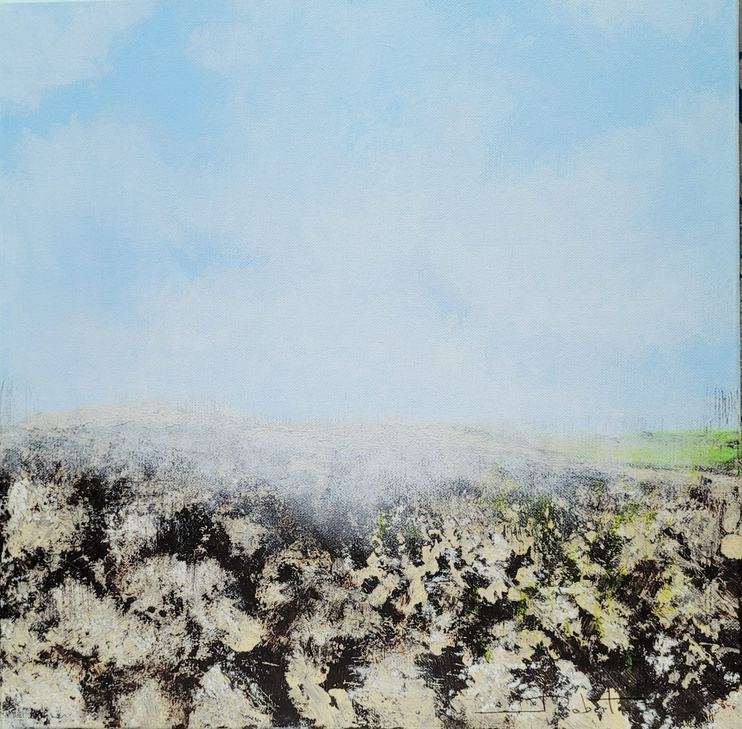 Roches ou "Sans titre" 40x40cm (non encadré)