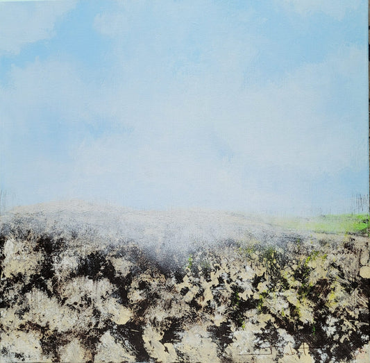 Roches ou "Sans titre" 40x40cm (non encadré)