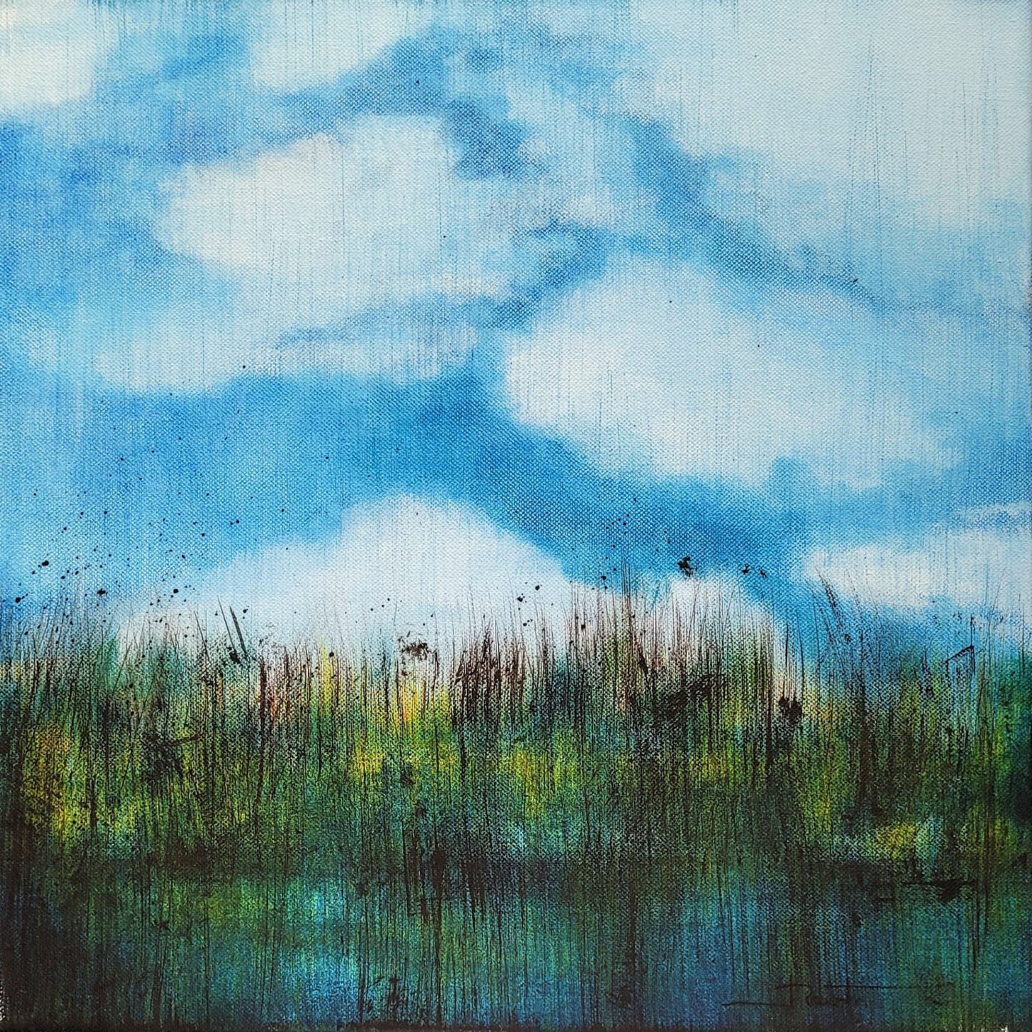 Ciel et Marécage, 40x40cm (non encadré)
